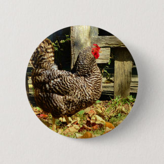 Schwarz-Weiß-Huhn Button