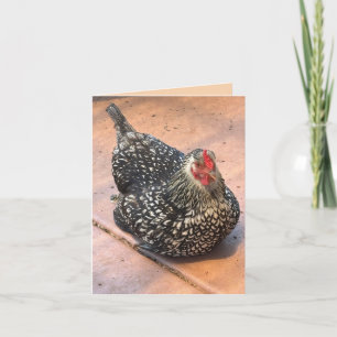 Schwarz-Weiß-Huhn-Ruh-Foto Karte