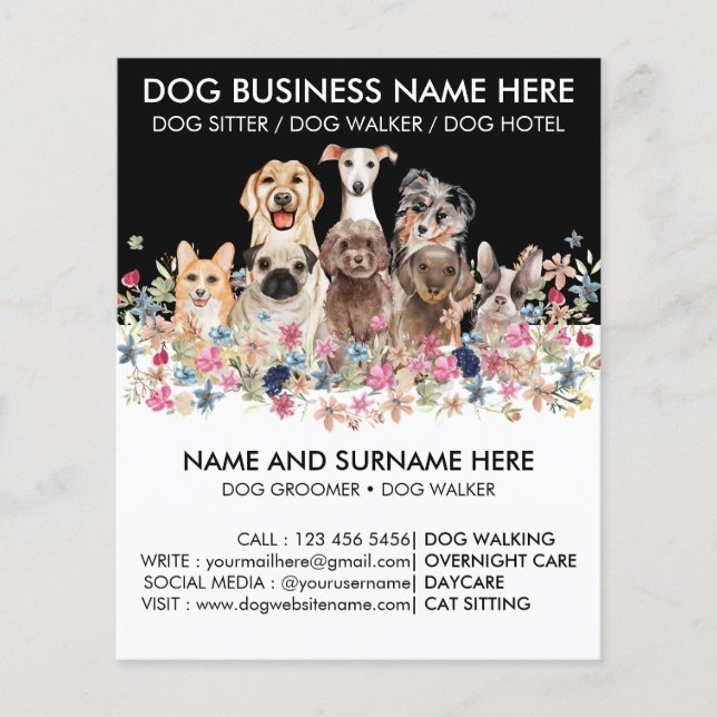 Schwarz-Weiß-Hund Walker Pet Sitter Groomer Flyer (Vorne)