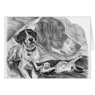 Schwarz-Weiß-Hunde