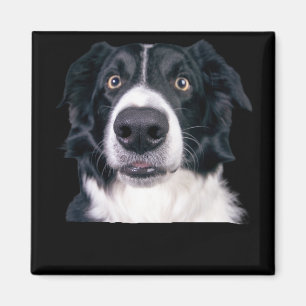Schwarz-Weiß-Hundegesicht Magnet