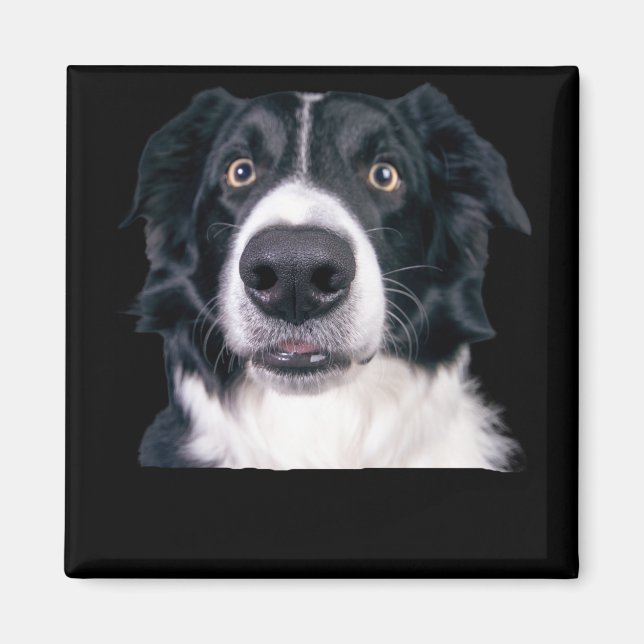 Schwarz-Weiß-Hundegesicht Magnet (Vorne)