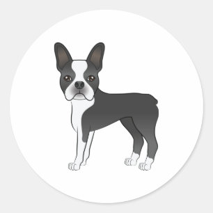 Schwarz-weiß-Illustration eines Boston-Terrier-Hun Runder Aufkleber