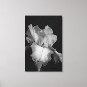 Schwarz-Weiß-Iris-Blumenfoto Leinwanddruck