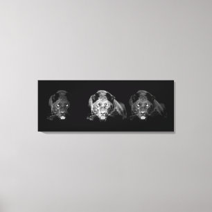 Schwarz-Weiß Jaguar Wrapped Canvas Leinwanddruck