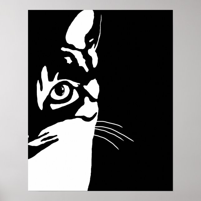 Schwarz-Weiß-Katze 657 Poster (Vorne)
