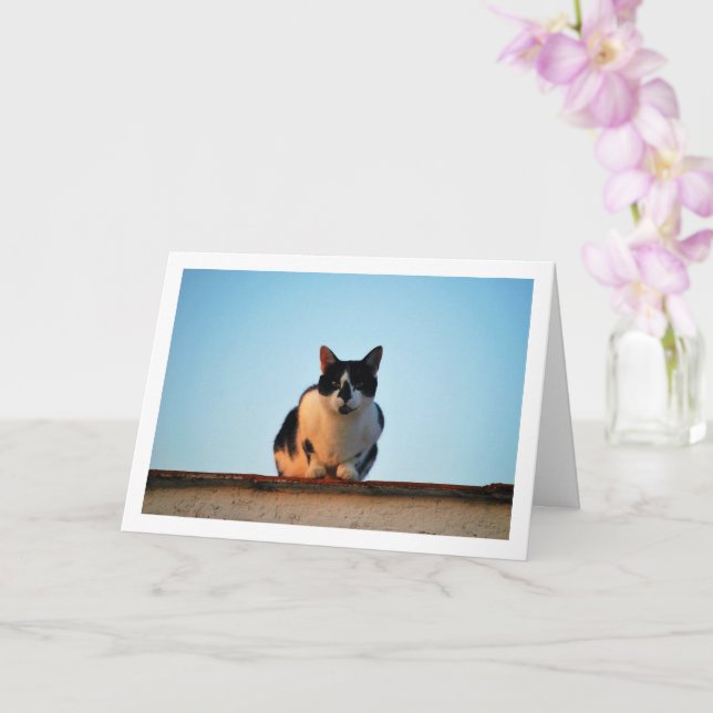 Schwarz-Weiß-Katze auf Dach Karte (Orchidee)