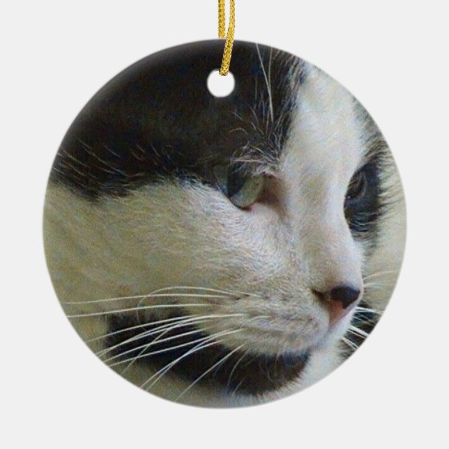 Schwarz-Weiß-Katze auf Keramik Ornament (Vorne)