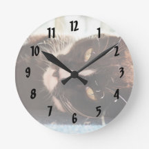 Schwarz-Weiß-Katze Gesicht Foto-Gelb-Augen