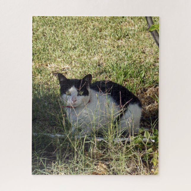 Schwarz-Weiß-Katze im Garten, Puzzle (Vertikal)