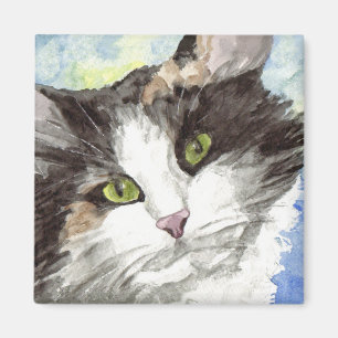 Schwarz-Weiß-Katze Magnet