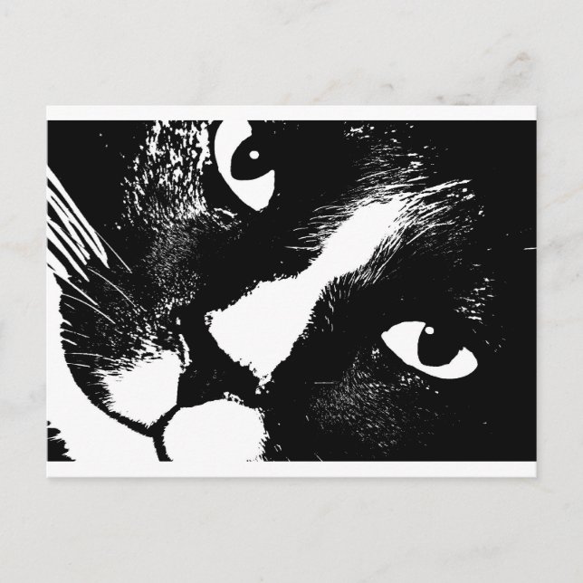 Schwarz-Weiß-Katze nah Postkarte (Vorderseite)