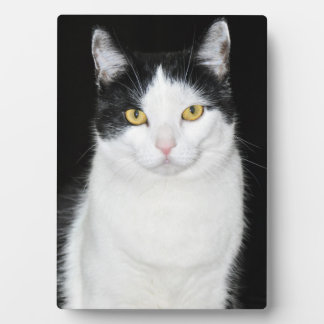 Schwarz-Weiß-Katze-Portrait Fotoplatte