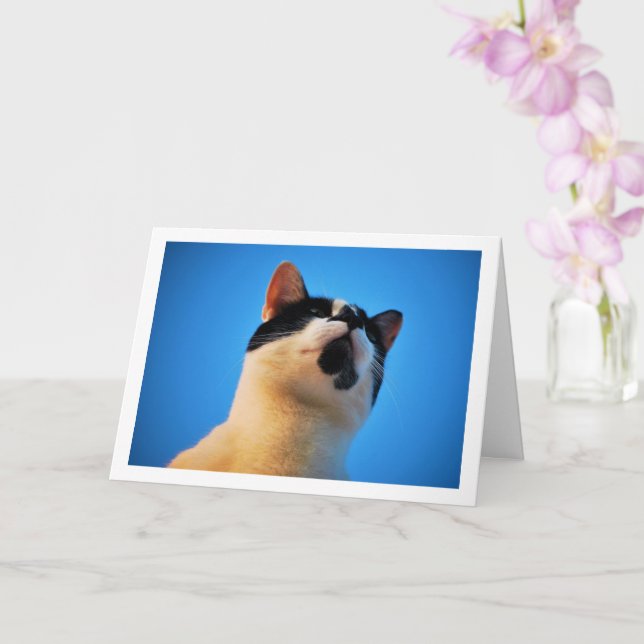 Schwarz-Weiß-Katze-Portrait Karte (Orchidee)