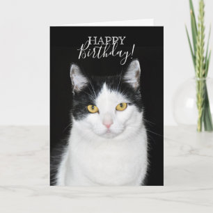 Schwarz-Weiß-Katze-Portrait Karte