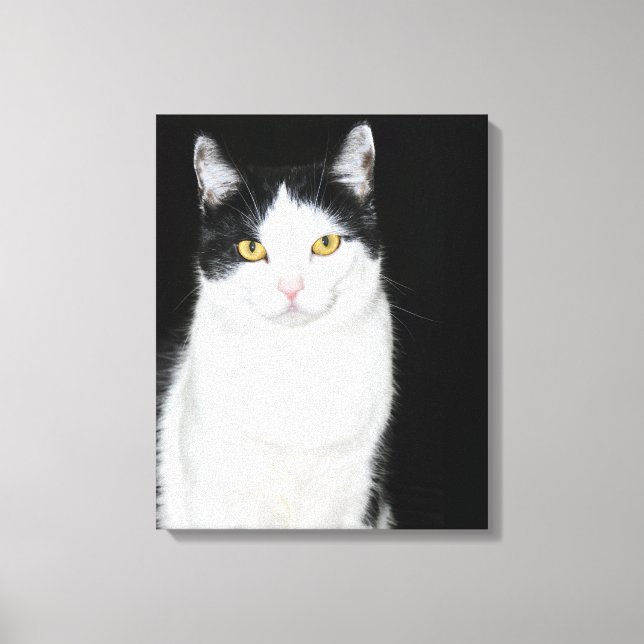 Schwarz-Weiß-Katze-Portrait Leinwanddruck (Vorderseite)