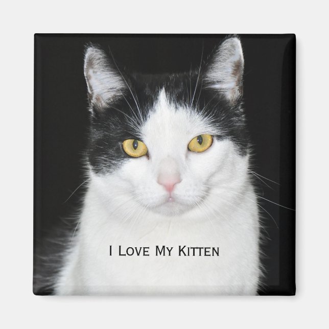 Schwarz-Weiß-Katze-Portrait Magnet (Vorne)