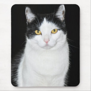 Schwarz-Weiß-Katze-Portrait Mousepad