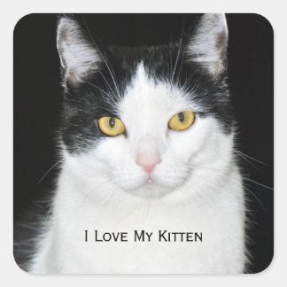 Schwarz-Weiß-Katze-Portrait Quadratischer Aufkleber