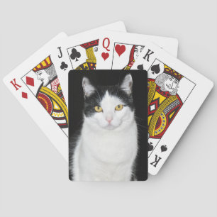 Schwarz-Weiß-Katze-Portrait Spielkarten