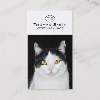 Schwarz-Weiß-Katze-Portrait Visitenkarte