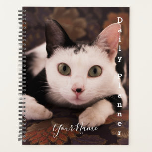 Schwarz-Weiß-Katze - Tagesplaner- HAMbWG Planer