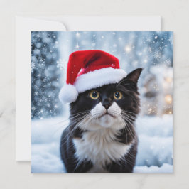Schwarz-Weiß-Katze Weihnachten