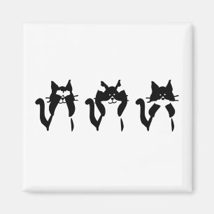 Schwarz-Weiß-Katzen Drei weise Kätzchen Magnet