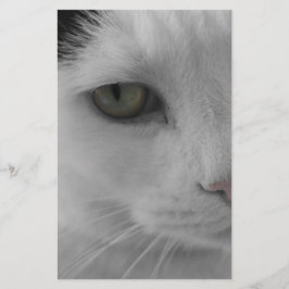 Schwarz-Weiß-Katzen im Gesicht