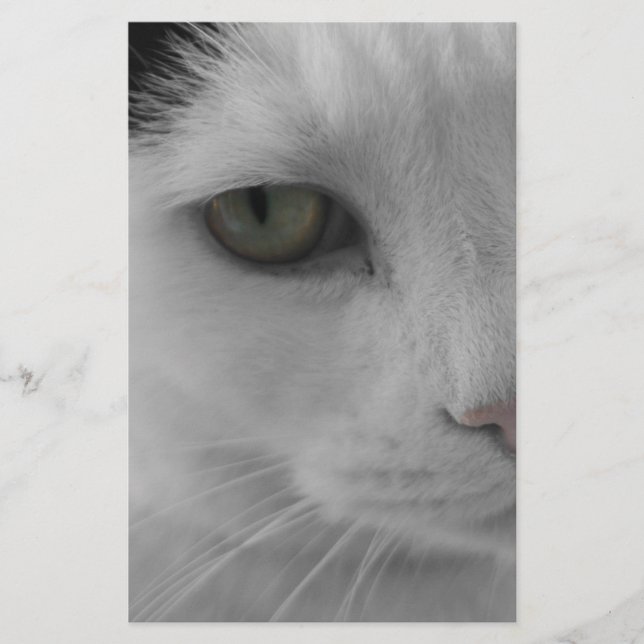 Schwarz-Weiß-Katzen im Gesicht (Vorderseite)