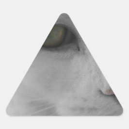 Schwarz-Weiß-Katzen im Gesicht Dreieckiger Aufkleber