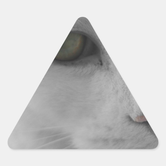 Schwarz-Weiß-Katzen im Gesicht Dreieckiger Aufkleber (Vorderseite)