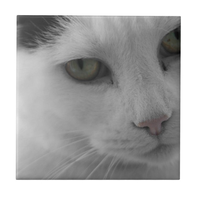 Schwarz-Weiß-Katzen im Gesicht Fliese (Vorderseite)