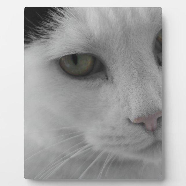 Schwarz-Weiß-Katzen im Gesicht Fotoplatte (Vorderseite)