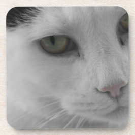 Schwarz-Weiß-Katzen im Gesicht Getränkeuntersetzer