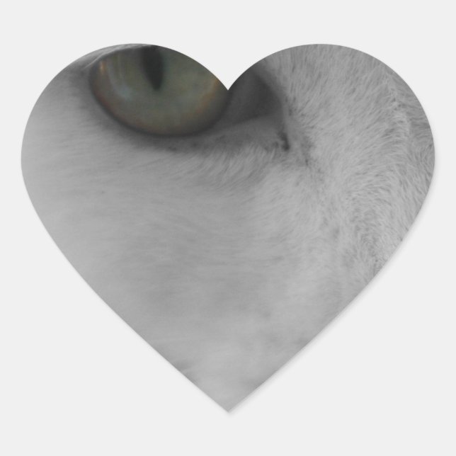 Schwarz-Weiß-Katzen im Gesicht Herz-Aufkleber (Vorderseite)