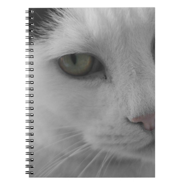 Schwarz-Weiß-Katzen im Gesicht Notizblock (Vorderseite)