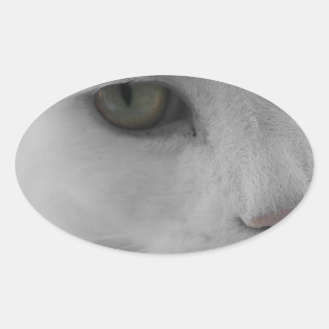 Schwarz-Weiß-Katzen im Gesicht Ovaler Aufkleber (Vorderseite)