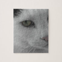 Schwarz-Weiß-Katzen im Gesicht