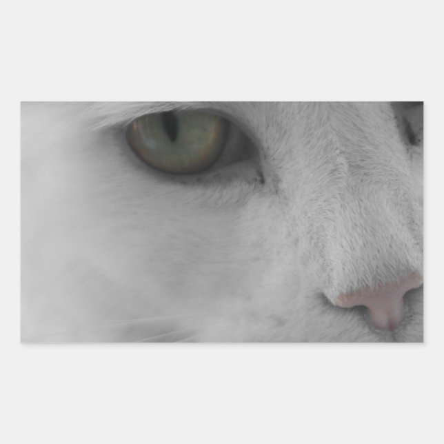 Schwarz-Weiß-Katzen im Gesicht Rechteckiger Aufkleber (Vorderseite)