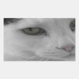 Schwarz-Weiß-Katzen im Gesicht Rechteckiger Aufkleber