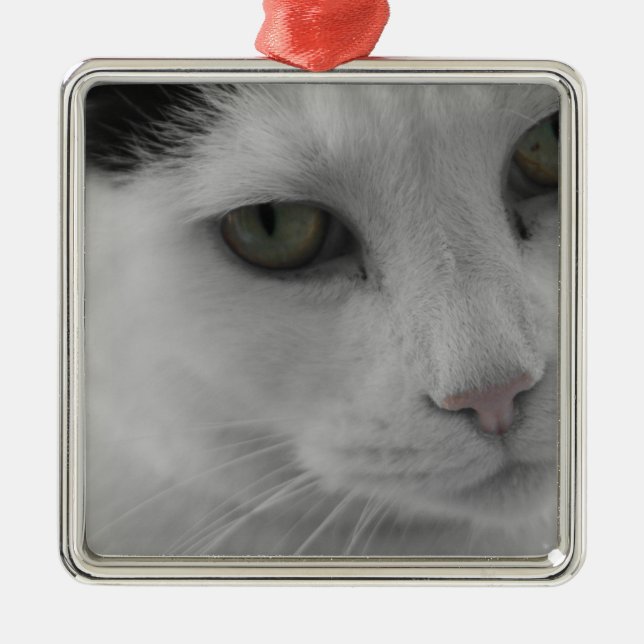 Schwarz-Weiß-Katzen im Gesicht Silbernes Ornament (Vorne)