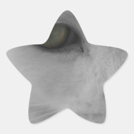 Schwarz-Weiß-Katzen im Gesicht Stern-Aufkleber