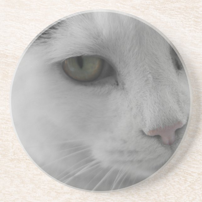 Schwarz-Weiß-Katzen im Gesicht Untersetzer (Vorne)