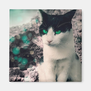 Schwarz-Weiß Katzengrün Augen, siehe Magnet