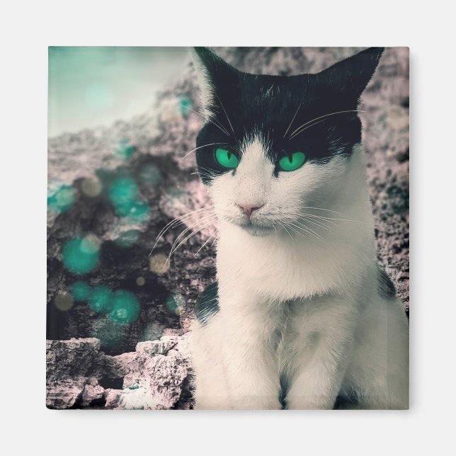 Schwarz-Weiß Katzengrün Augen, siehe Magnet (Vorne)