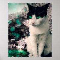 Schwarz-Weiß Katzengrün Augen, siehe