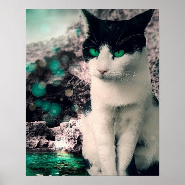Schwarz-Weiß Katzengrün Augen, siehe Poster (Vorne)
