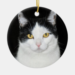 Schwarz-Weiß-Katzenporträt Keramik Ornament