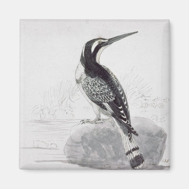 Schwarz-Weiß-Kingfisher Magnet (Vorne)